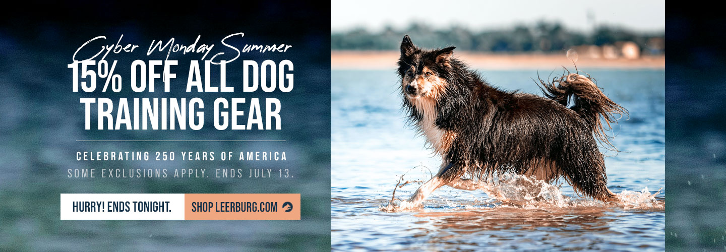 15% Off Sitewide - Celebrate 250 Years of America