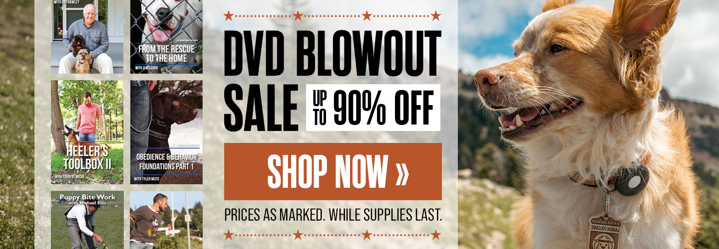 DVD Blowout Sale