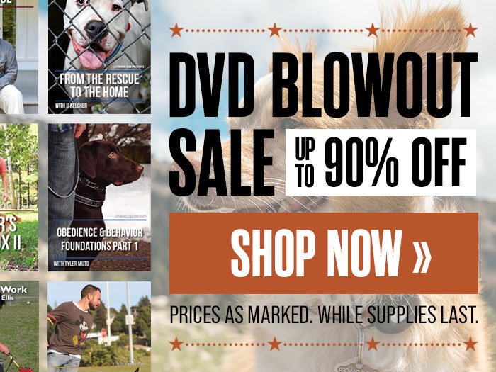DVD Blowout Sale