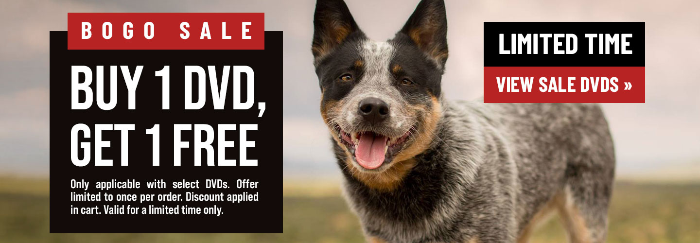 Buy 1 DVD, Get 1 Free 