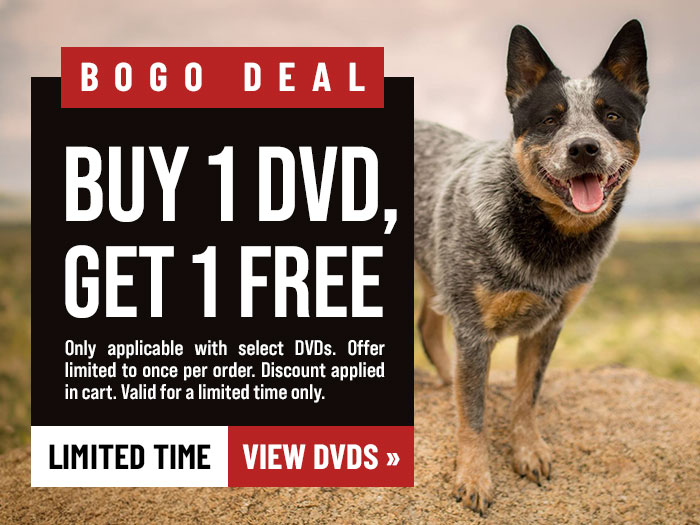 Buy 1 DVD, Get 1 Free 