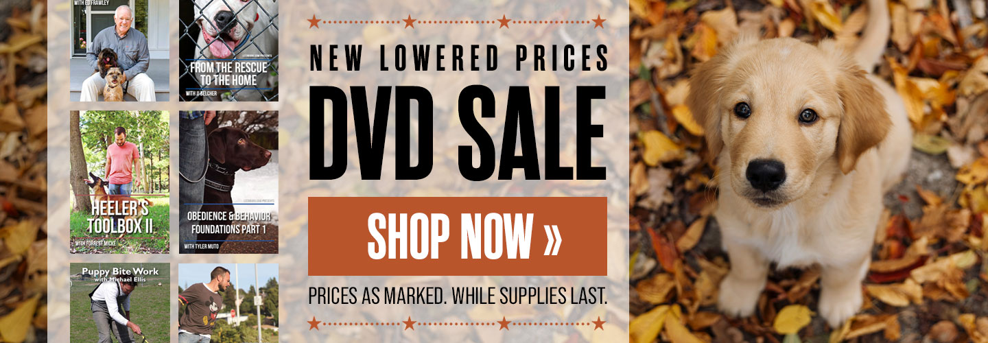 DVD Sale - New Lowered Prices