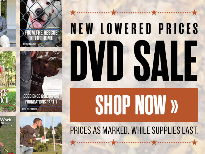 DVD Sale - New Lowered Prices