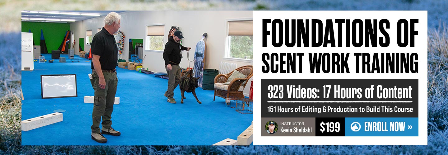 New Course: Foundations of Scent Work with Kevin Sheldahl