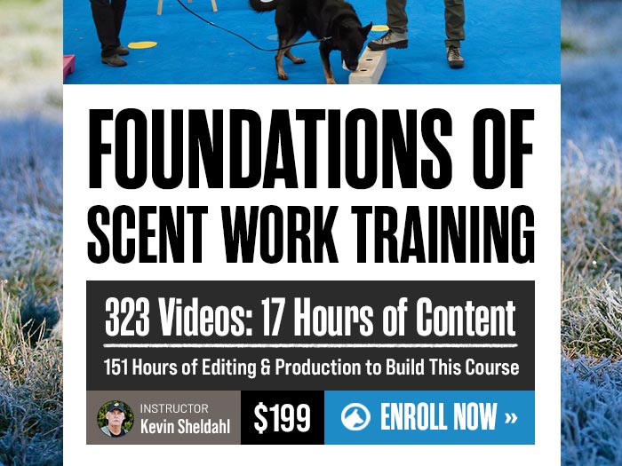 New Course: Foundations of Scent Work with Kevin Sheldahl