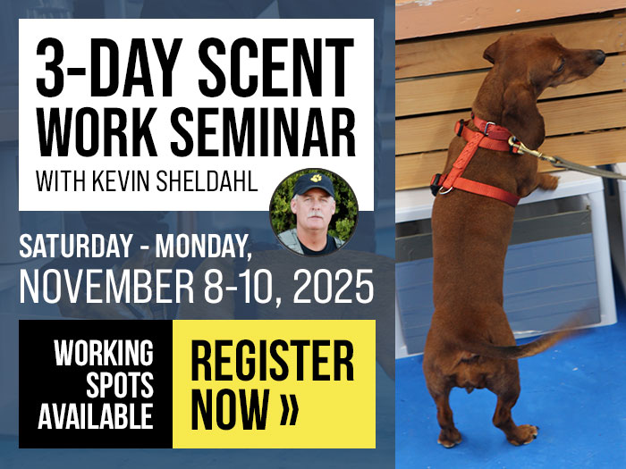 Kevin Sheldahl Scent Work Seminar