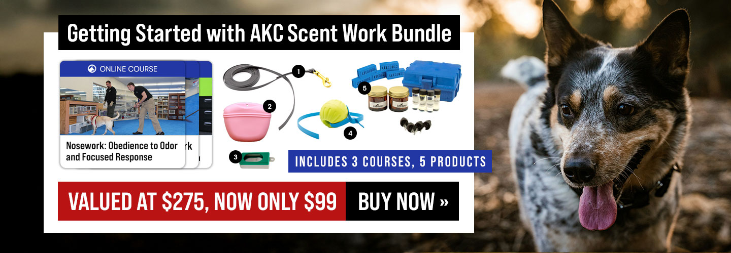 Getting Started with AKC Scent Work Bundle