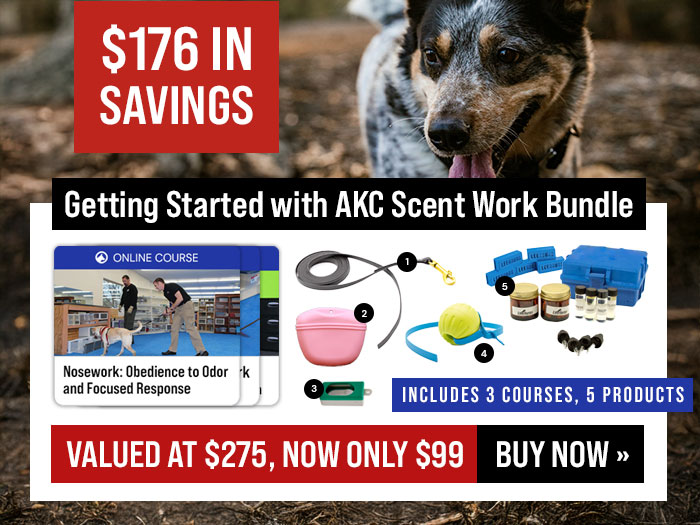 Getting Started with AKC Scent Work Bundle