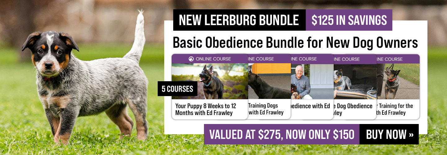 Basic Obedience Bundle for New Dog Owners
