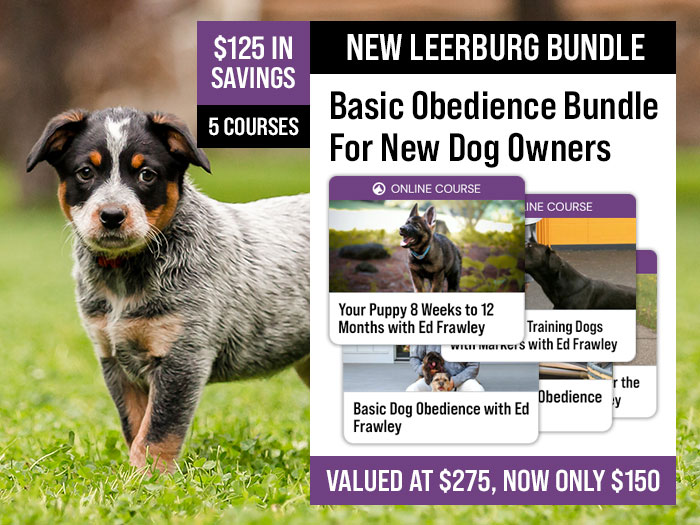 Basic Obedience Bundle for New Dog Owners