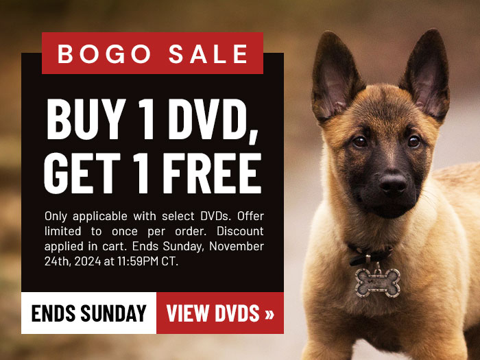 Buy 1 DVD, Get 1 Free 