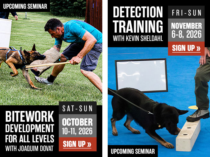 Fall Seminars