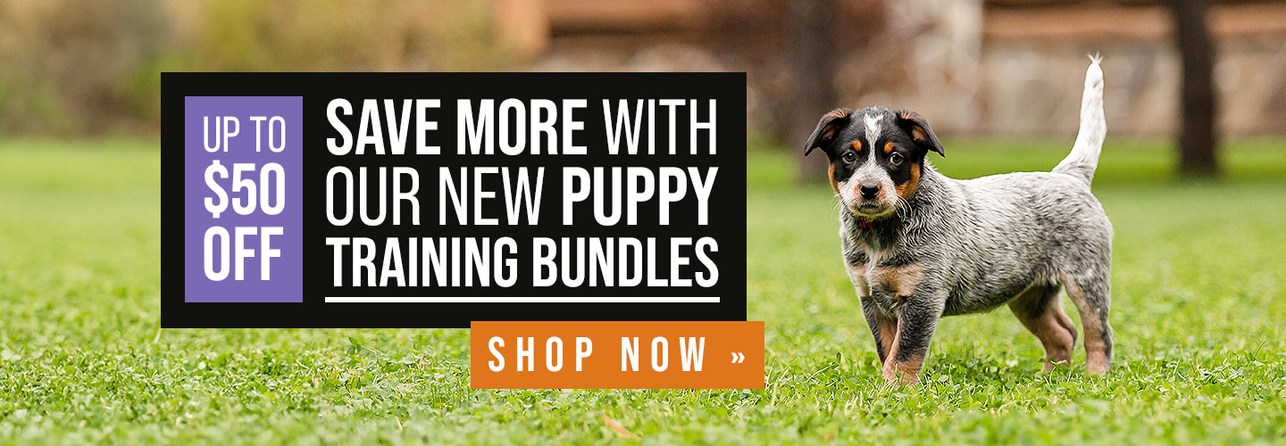Save Up to $50 with Our New Puppy Training Bundles