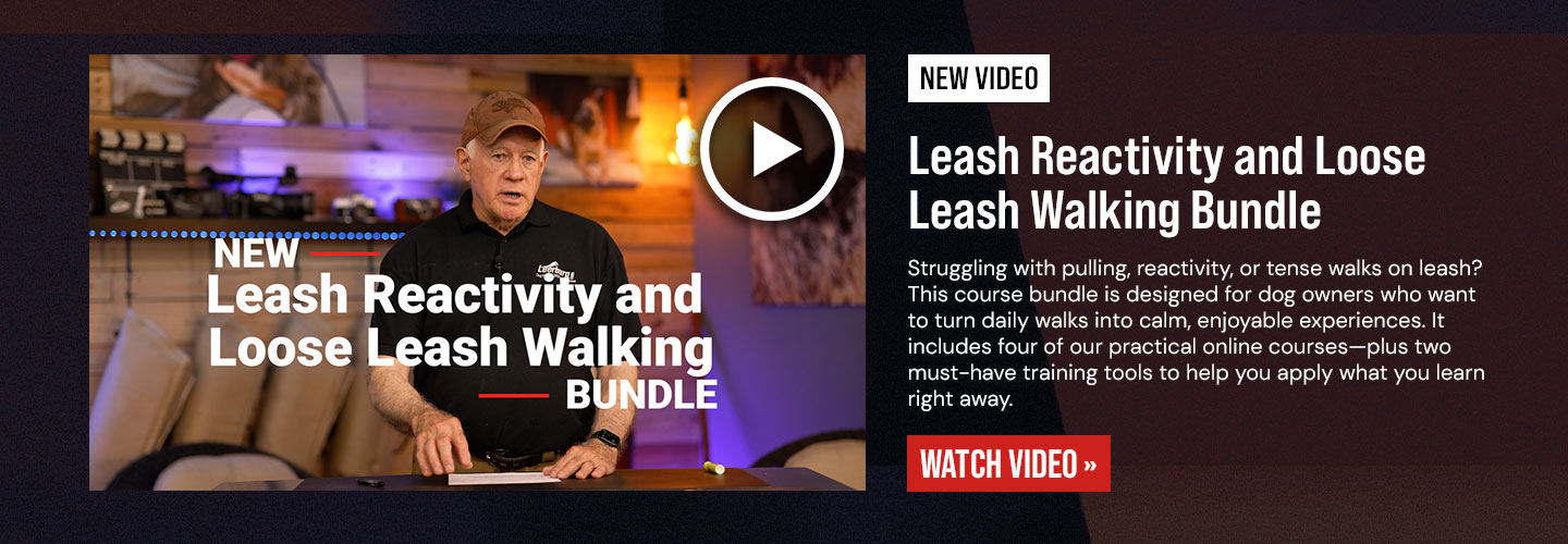 New Video - Leash Reactivity and Loose Leash Walking Bundle