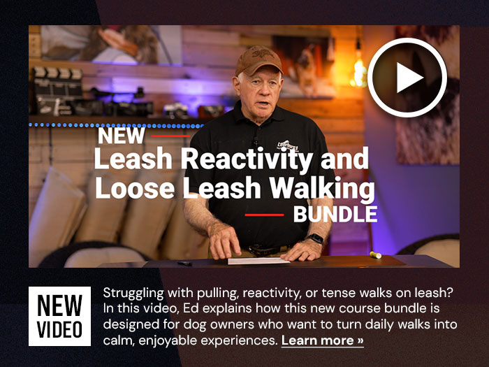 New Video - Leash Reactivity and Loose Leash Walking Bundle