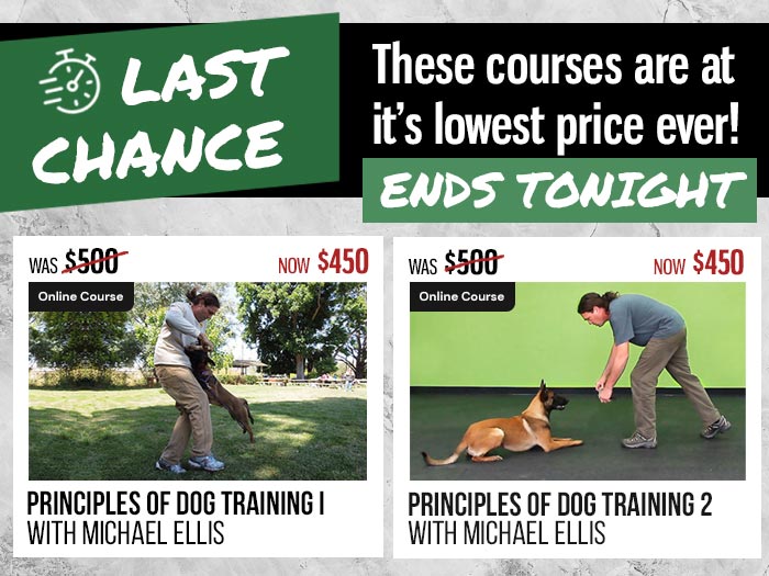 Last day to get $50 OFF Michael Ellis PODT 1 and 2