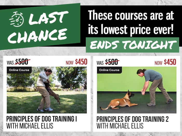 Last day to get $50 OFF Michael Ellis PODT 1 and 2
