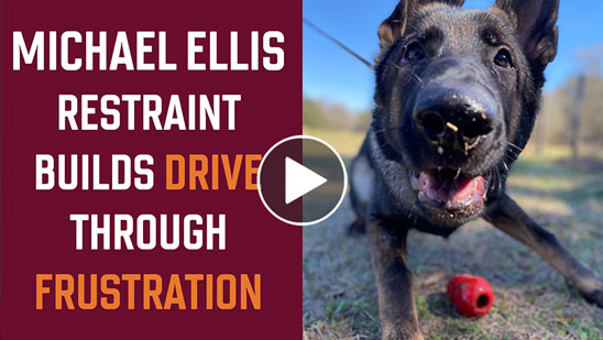 Video: Michael Ellis on Teaching the Dog to Finish with the Leash