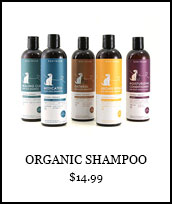 Kin + Kind: Organic Shampoo