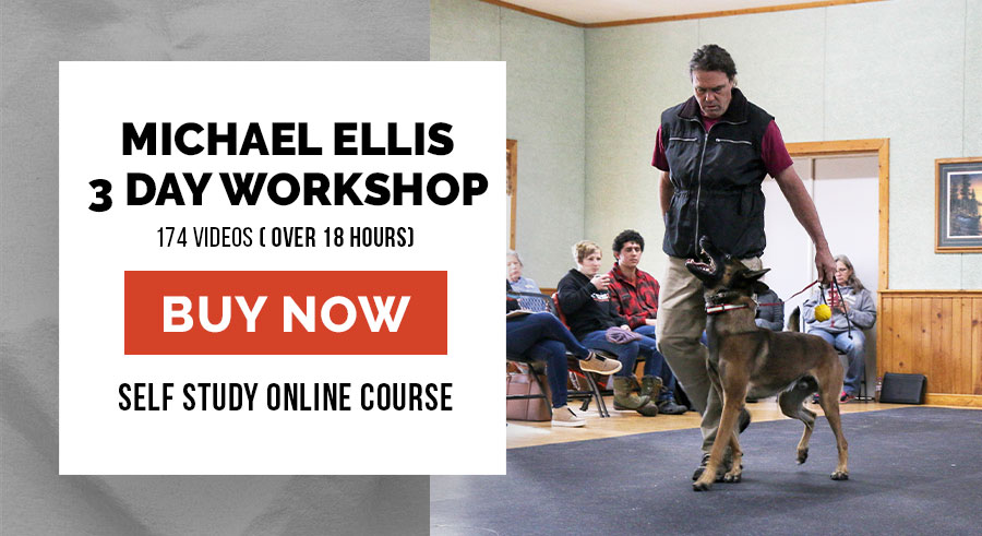 Michael Ellis 3 Day Workshop | Sign up for self study online course