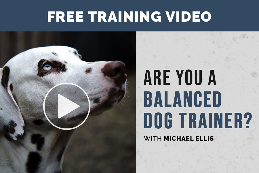 Video: Are You a Balanced Dog Trainer with Michael Ellis