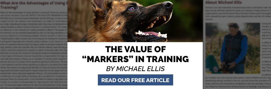 New article by Michael Ellis | The Value of 