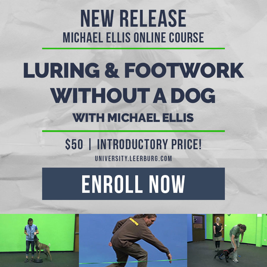 Luring & Footwork Without a Dog with Michael Ellis | Self-Study Online Course