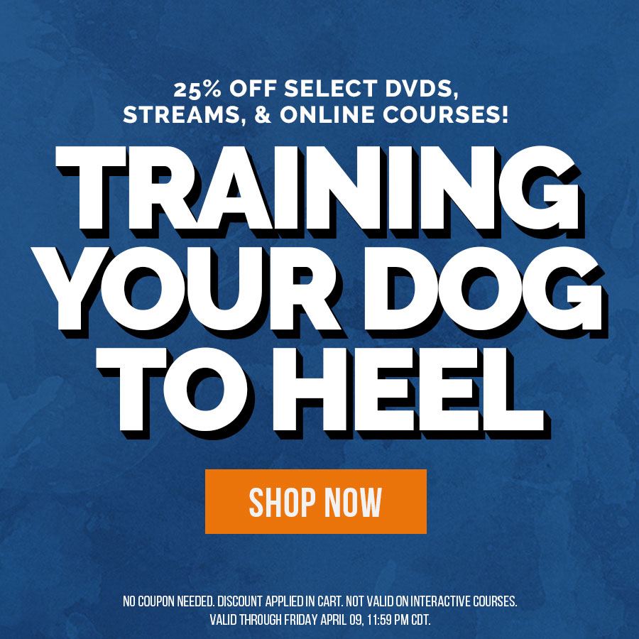 Train Your Heeling Dog with 25% Off Select DVDs, Streams, & Online Courses | Valid through Thursday, April 09, 11:59PM CDT.