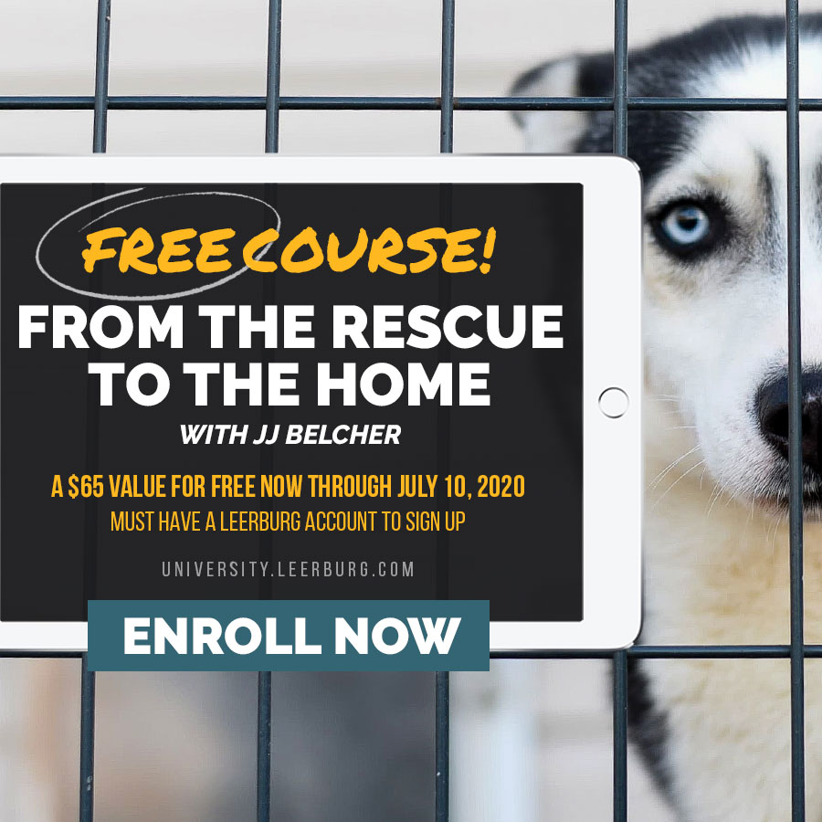 FREE Online Course: From the Rescue to the Home | Valid through July 10, 2020.