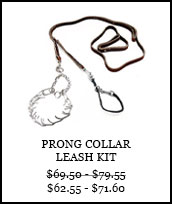 Prong Collar Leash Kit