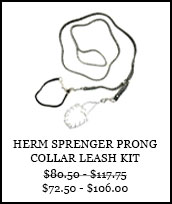 Herm Sprenger Prong Collar Leash Kit