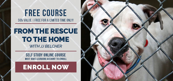 From the Rescue to the Home | FREE Online Course | $65 value. Ends July 10, 2020