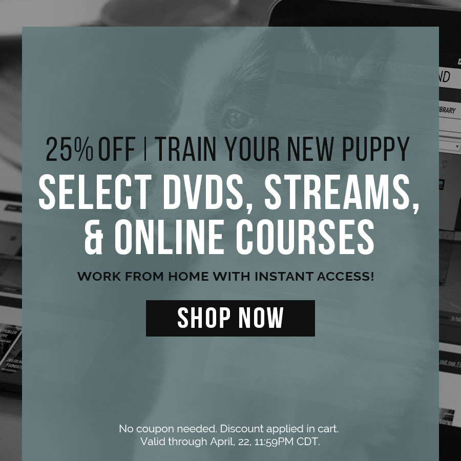 Train Your New Puppy with 25% off Select DVDs, Streams, and Self-Study Online Courses