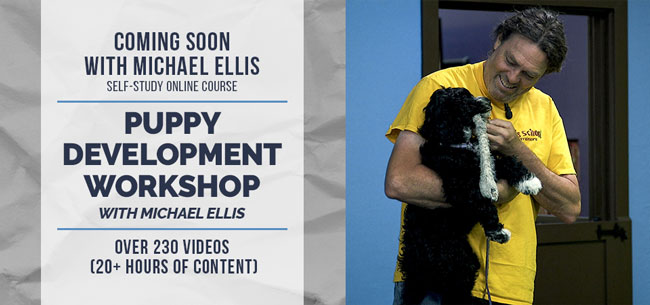 Coming Soon: Puppy Development Workshop with Michael Ellis | Online Self Study Course