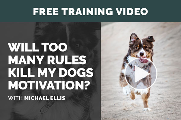 Video: Will Too Many Rules Kill Your Dog's Motivation? with Michael Ellis