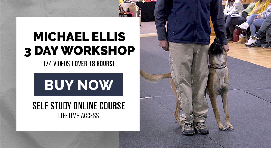 3 Day Workshop Michael Ellis | Self-Study Online Course