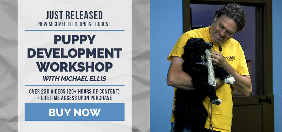 Puppy Development Workshop with Michael Ellis | Self-Study Online Course