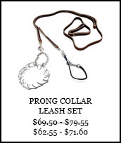 Prong Collar Leash Kit