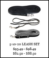 5-10-20 Leash Set