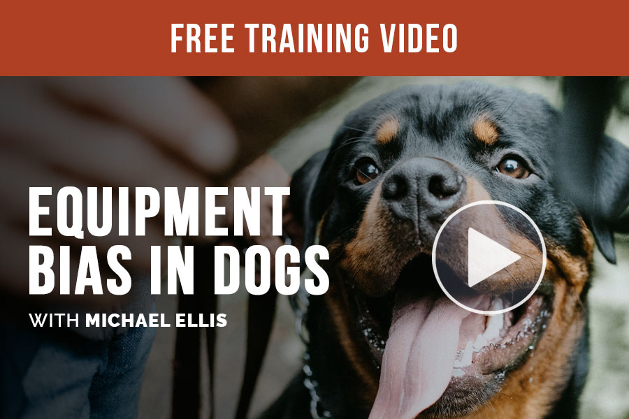 Video: Equipment Bias in Dogs with Michael Ellis