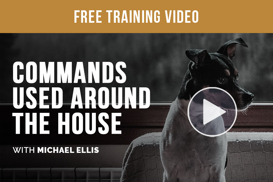 Video: Michael Ellis on Commands Used Around the House