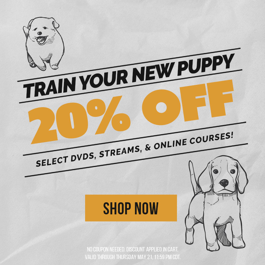 20% off Select Puppy Dog DVDs, Streams, and Self-Study Online Courses | Valid through 
