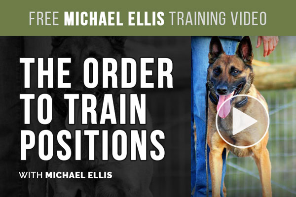 Video: The Order to Train Positions with Michael Ellis