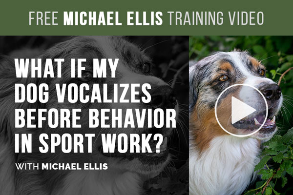 Video: What if My Dog Vocalizes Before Behavior in Sport Work? with Michael Ellis