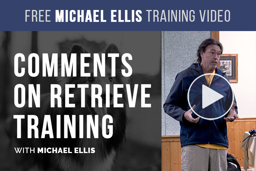 Video: Comments on Retrieve Training with Michael Ellis