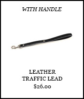 Traffic Lead with Handle