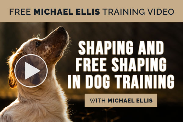 Video: Shaping and Free Shaping in Dog Training with Michael Ellis
