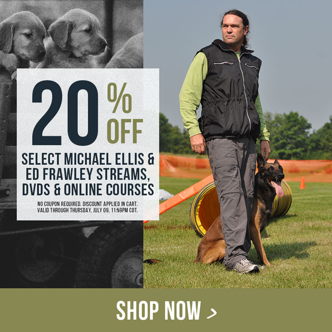 20% off Michael Ellis & Ed Frawley DVDs, Streams and Online Courses | Valid through Thursday, July 09 11:59PM CDT