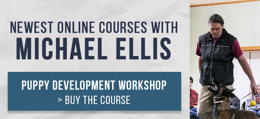 Michael Ellis 3 Day Workshop | Sign up for self study online course