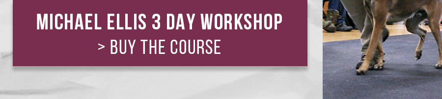 Michael Ellis Puppy Development Workshop | NEW Self Study Online Course